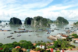 Vietnam promotes international arrivals through tourism portal - ảnh 1